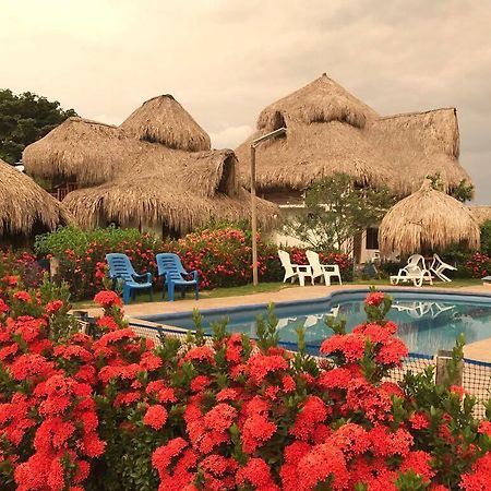 Palomino Breeze Hostal Εξωτερικό φωτογραφία