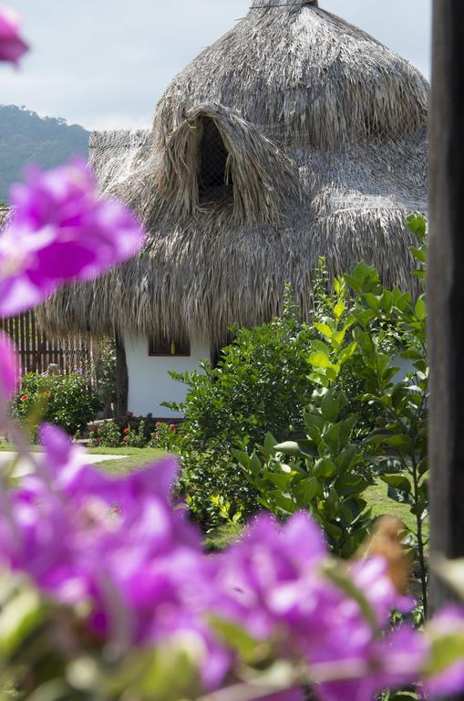 Palomino Breeze Hostal Εξωτερικό φωτογραφία