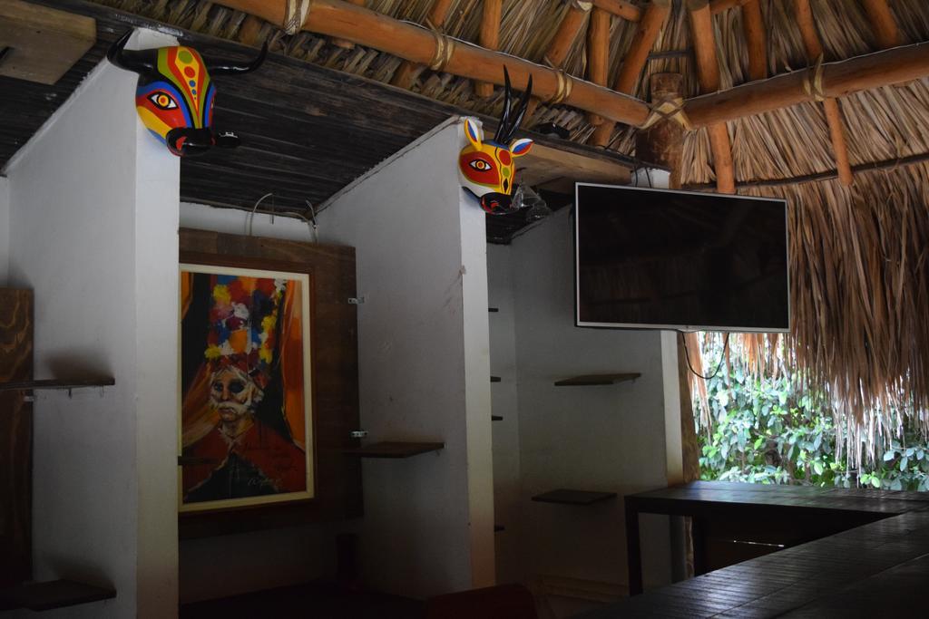 Palomino Breeze Hostal Εξωτερικό φωτογραφία